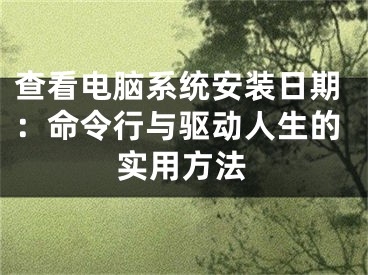 查看电脑系统安装日期：命令行与驱动人生的实用方法