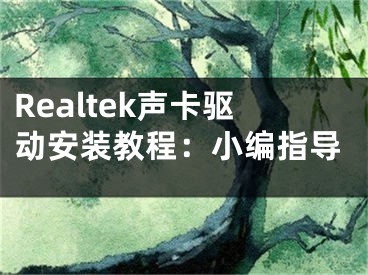 Realtek声卡驱动安装教程：小编指导