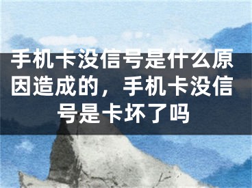 手机卡没信号是什么原因造成的，手机卡没信号是卡坏了吗