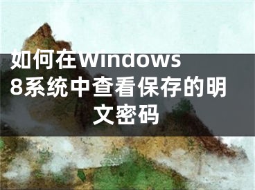 如何在Windows8系统中查看保存的明文密码