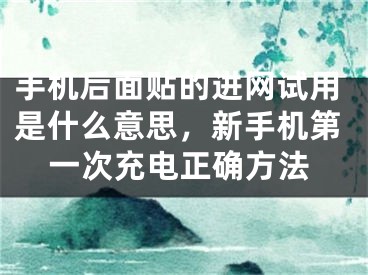 手机后面贴的进网试用是什么意思，新手机第一次充电正确方法