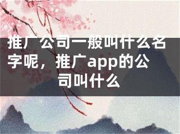 推广公司一般叫什么名字呢，推广app的公司叫什么 