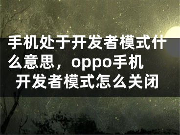 手机处于开发者模式什么意思，oppo手机开发者模式怎么关闭