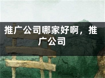 推广公司哪家好啊，推广公司