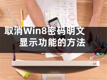 取消Win8密码明文显示功能的方法