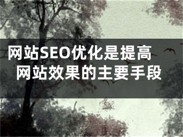 网站SEO优化是提高网站效果的主要手段