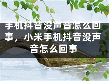 手机抖音没声音怎么回事，小米手机抖音没声音怎么回事