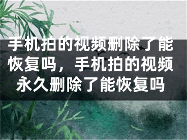 手机拍的视频删除了能恢复吗，手机拍的视频永久删除了能恢复吗