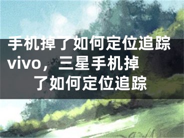 手机掉了如何定位追踪vivo，三星手机掉了如何定位追踪