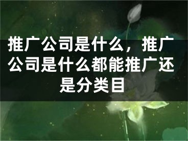 推广公司是什么，推广公司是什么都能推广还是分类目