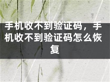 手机收不到验证码，手机收不到验证码怎么恢复