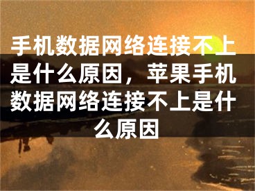 手机数据网络连接不上是什么原因，苹果手机数据网络连接不上是什么原因