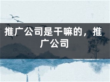 推广公司是干嘛的，推广公司