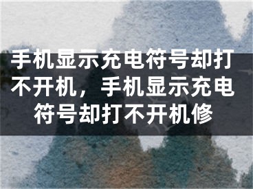 手机显示充电符号却打不开机，手机显示充电符号却打不开机修