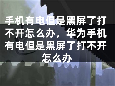 手机有电但是黑屏了打不开怎么办，华为手机有电但是黑屏了打不开怎么办