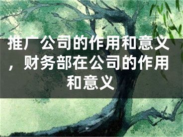 推广公司的作用和意义，财务部在公司的作用和意义