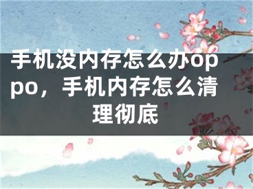 手机没内存怎么办oppo，手机内存怎么清理彻底