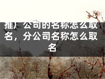 推广公司的名称怎么取名，分公司名称怎么取名