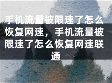 手机流量被限速了怎么恢复网速，手机流量被限速了怎么恢复网速联通