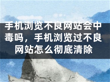 手机浏览不良网站会中毒吗，手机浏览过不良网站怎么彻底清除