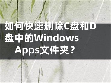 如何快速删除C盘和D盘中的WindowsApps文件夹？