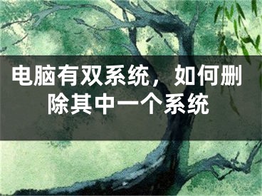 电脑有双系统，如何删除其中一个系统