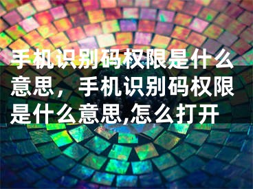 手机识别码权限是什么意思，手机识别码权限是什么意思,怎么打开