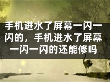 手机进水了屏幕一闪一闪的，手机进水了屏幕一闪一闪的还能修吗