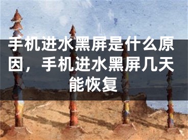 手机进水黑屏是什么原因，手机进水黑屏几天能恢复