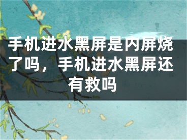 手机进水黑屏是内屏烧了吗，手机进水黑屏还有救吗