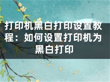 打印机黑白打印设置教程：如何设置打印机为黑白打印