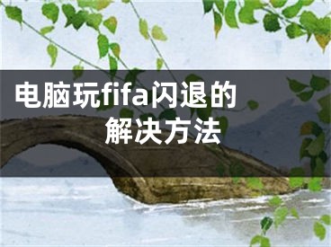 电脑玩fifa闪退的解决方法