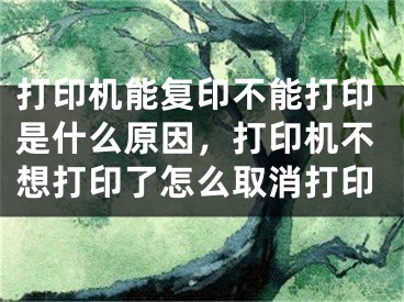 打印机能复印不能打印是什么原因，打印机不想打印了怎么取消打印
