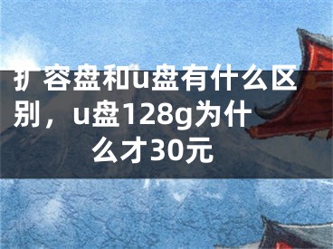 扩容盘和u盘有什么区别，u盘128g为什么才30元