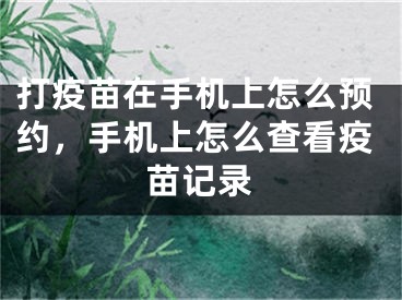 打疫苗在手机上怎么预约，手机上怎么查看疫苗记录