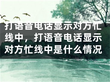 打语音电话显示对方忙线中，打语音电话显示对方忙线中是什么情况