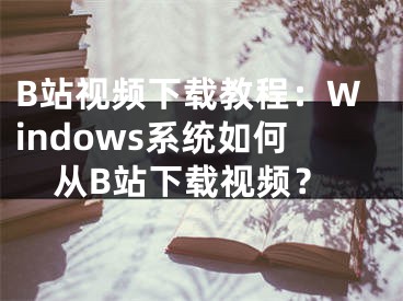 B站视频下载教程：Windows系统如何从B站下载视频？