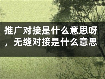 推广对接是什么意思呀，无缝对接是什么意思