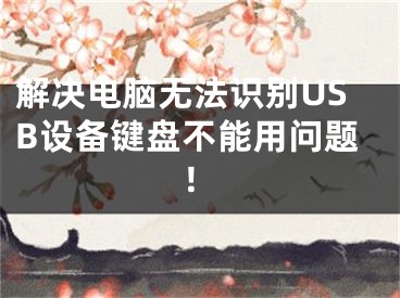 解决电脑无法识别USB设备键盘不能用问题！