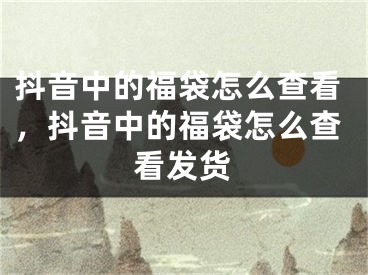 抖音中的福袋怎么查看，抖音中的福袋怎么查看发货