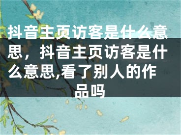 抖音主页访客是什么意思，抖音主页访客是什么意思,看了别人的作品吗