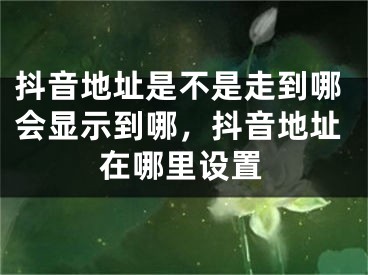 抖音地址是不是走到哪会显示到哪，抖音地址在哪里设置