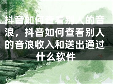 抖音如何查看别人的音浪，抖音如何查看别人的音浪收入和送出通过什么软件