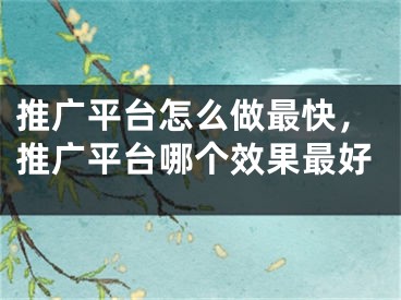 推广平台怎么做最快，推广平台哪个效果最好