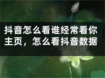 抖音怎么看谁经常看你主页，怎么看抖音数据