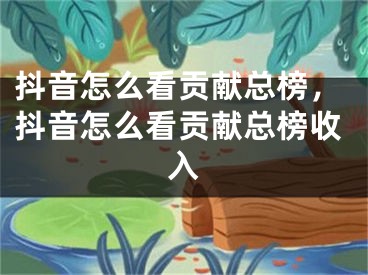 抖音怎么看贡献总榜，抖音怎么看贡献总榜收入