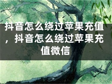 抖音怎么绕过苹果充值，抖音怎么绕过苹果充值微信