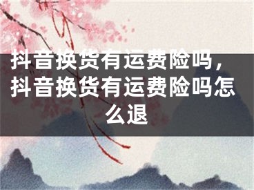 抖音换货有运费险吗，抖音换货有运费险吗怎么退