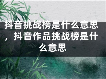 抖音挑战榜是什么意思，抖音作品挑战榜是什么意思