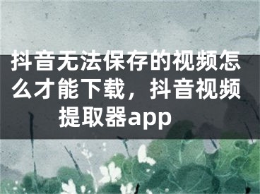 抖音无法保存的视频怎么才能下载，抖音视频提取器app